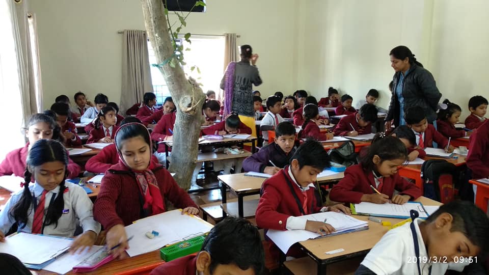 Regular tests and progress monitoring